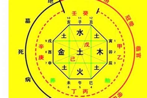 五行喜什么|八字喜用神在线查询器,在线查五行喜神忌神